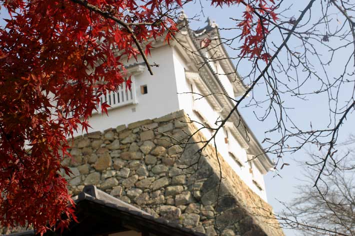 津山お城まつり、秋の陣、大茶華会、ご当地グルメ・フェスティバル2015